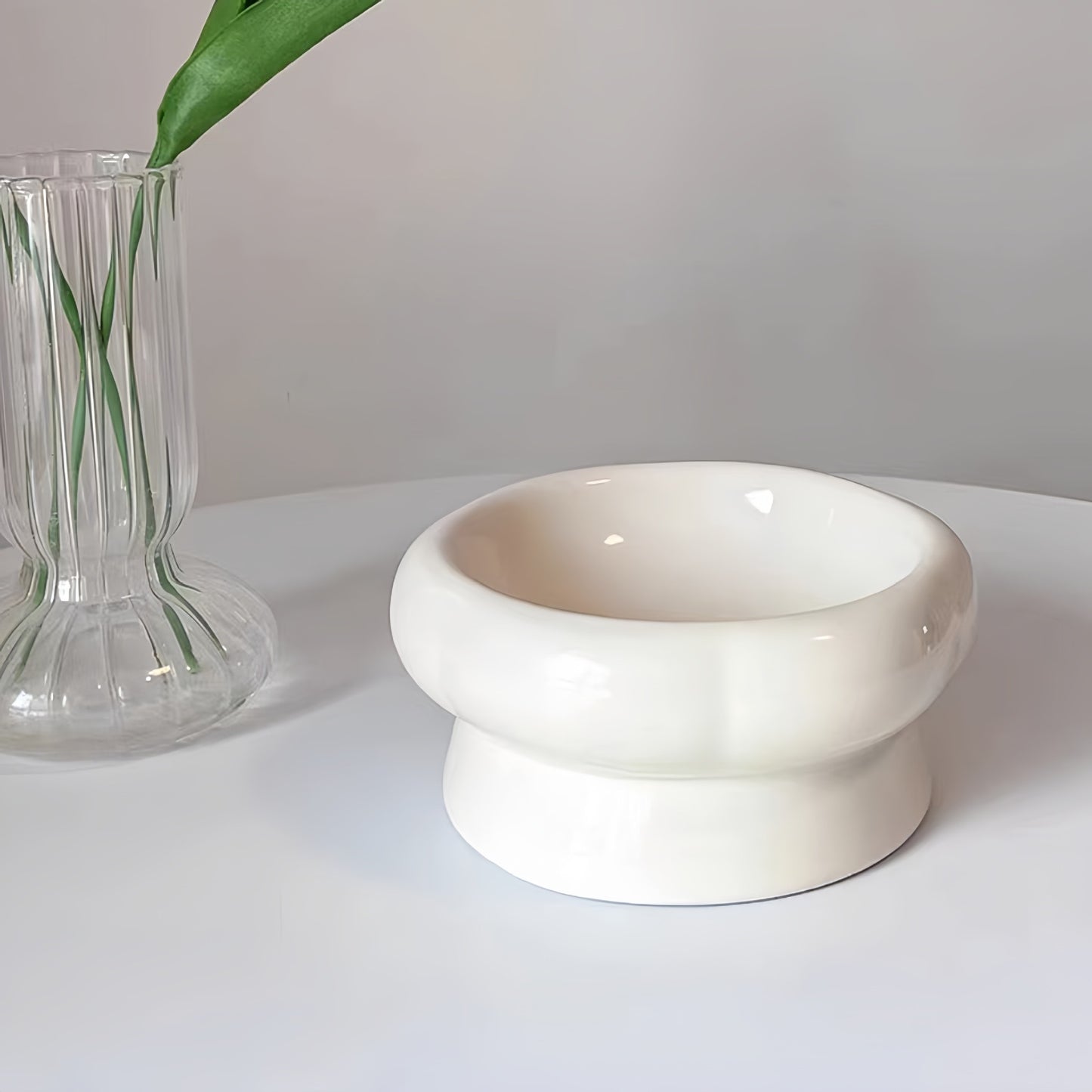 Elegant Ceramic Elevated Food Bowl