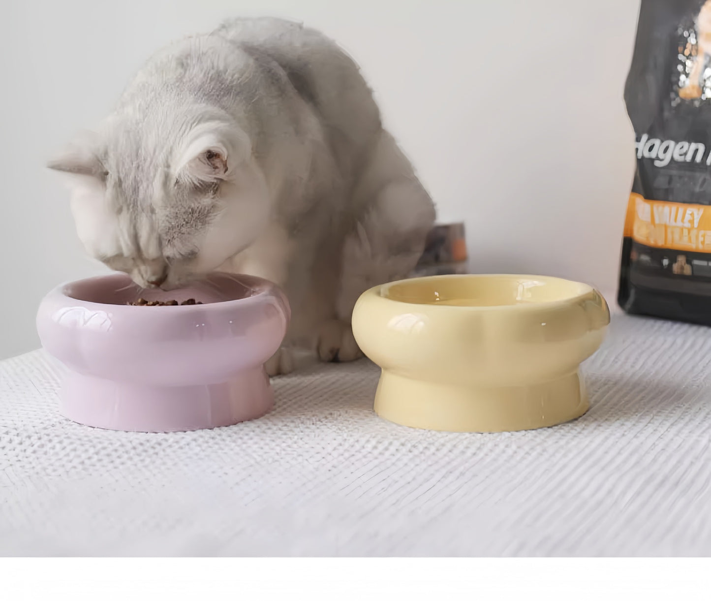 Elegant Ceramic Elevated Food Bowl