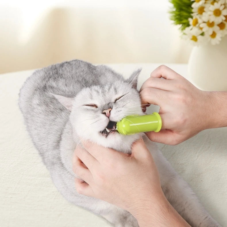 Cat Finger Toothbrush Kuma Pets