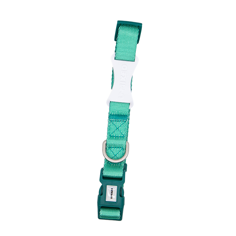 Dog Unmixed Collar - Lime