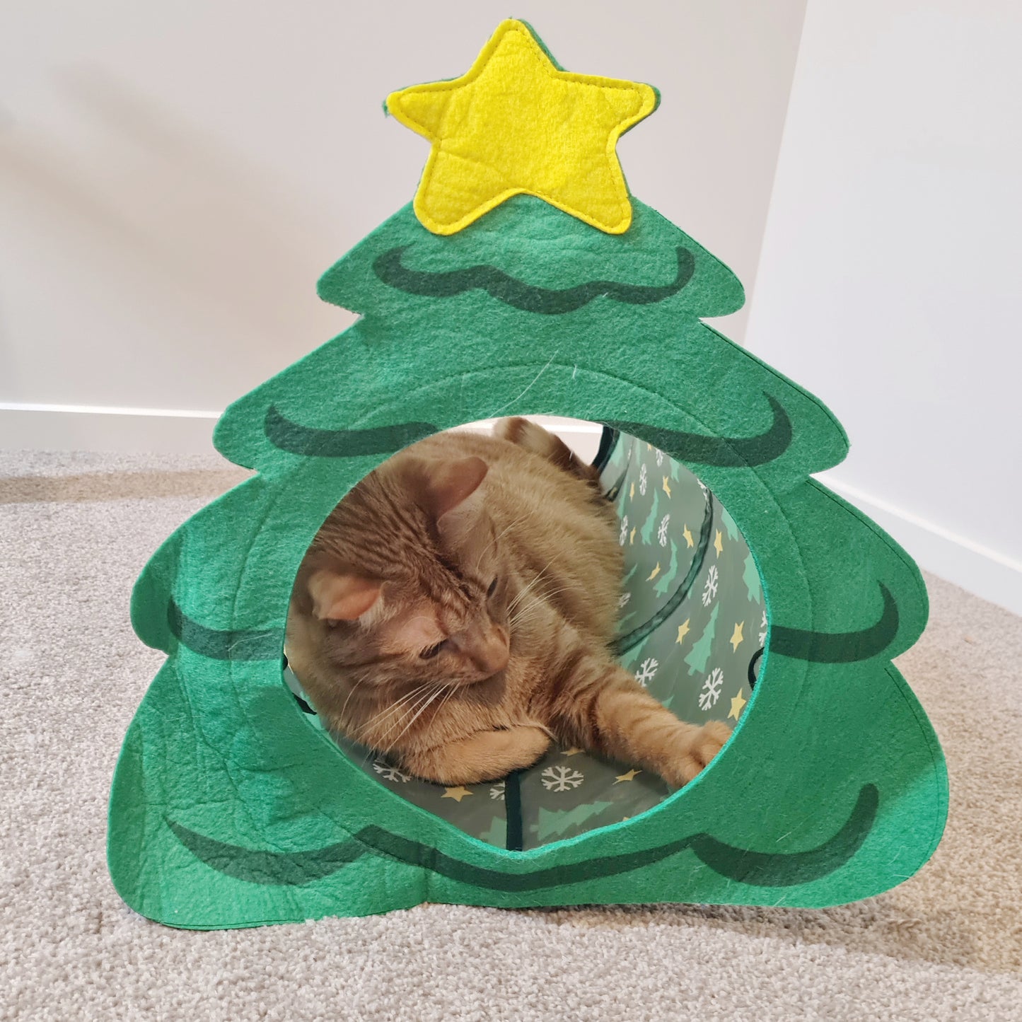 Cat Christmas Tree Tunnel
