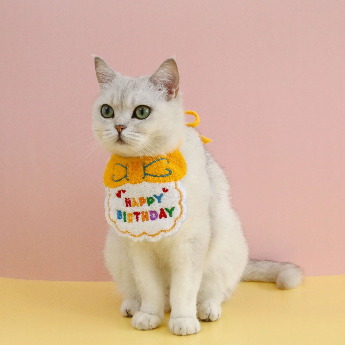 Pet Happy Birthday Bandana