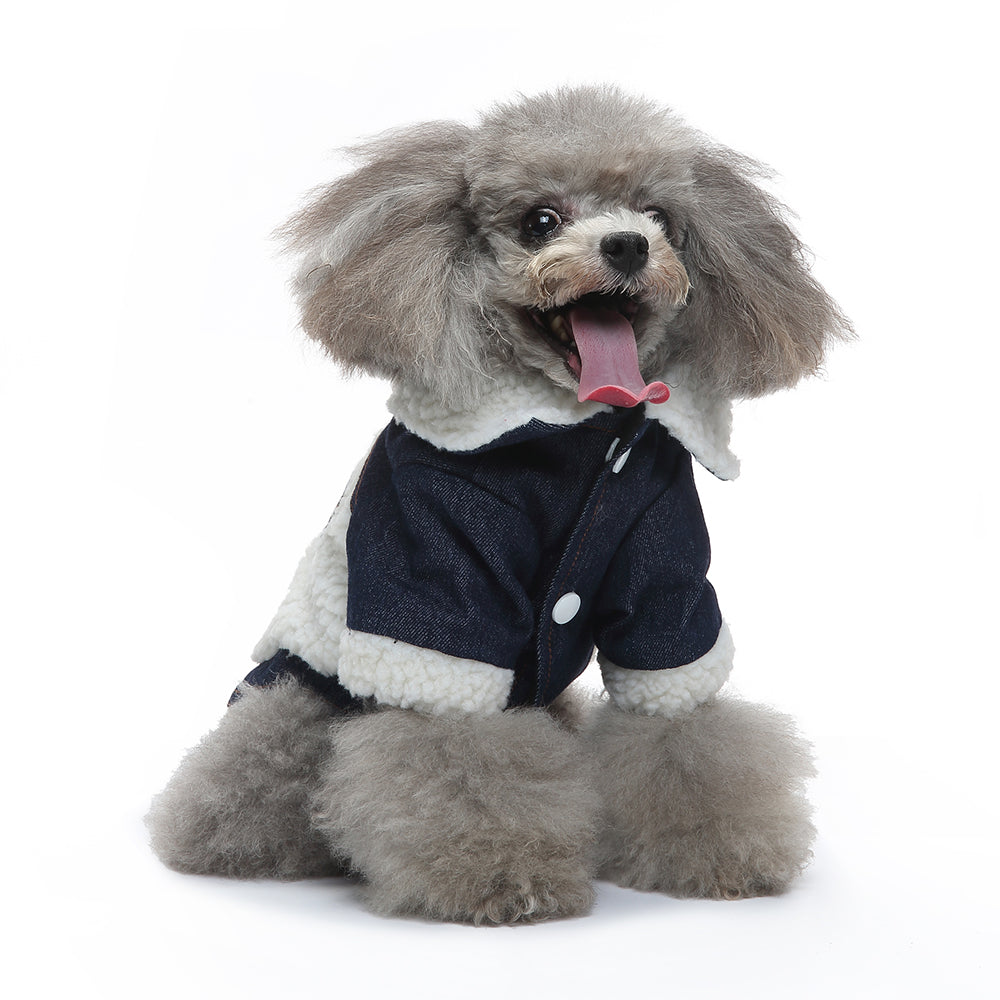Dog Teddy Denim Button Jacket