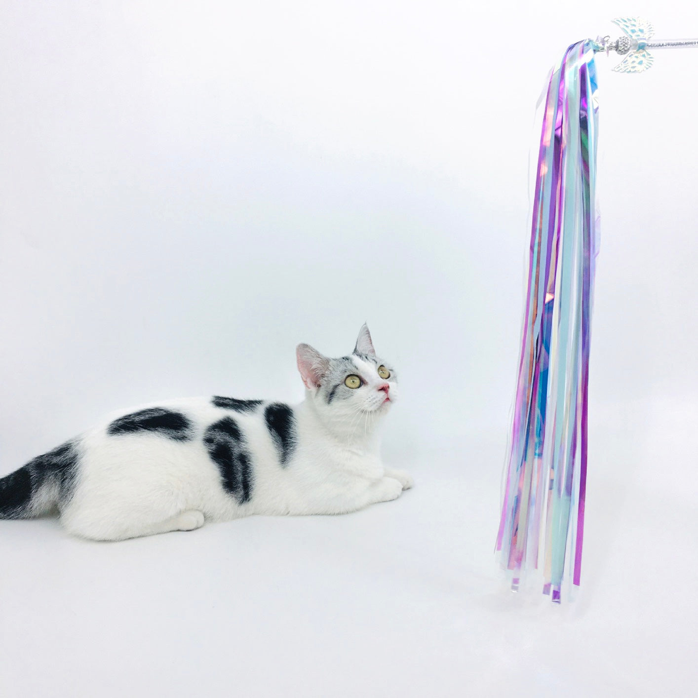 Cat Teaser Wand with Sparkling Laser Tassel