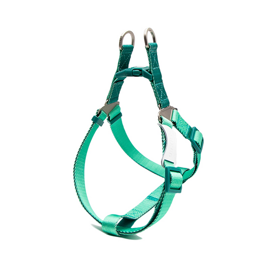 Dog Unmixed Harness - Lime